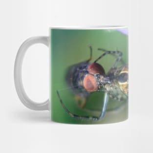 Spider And Fly Mug